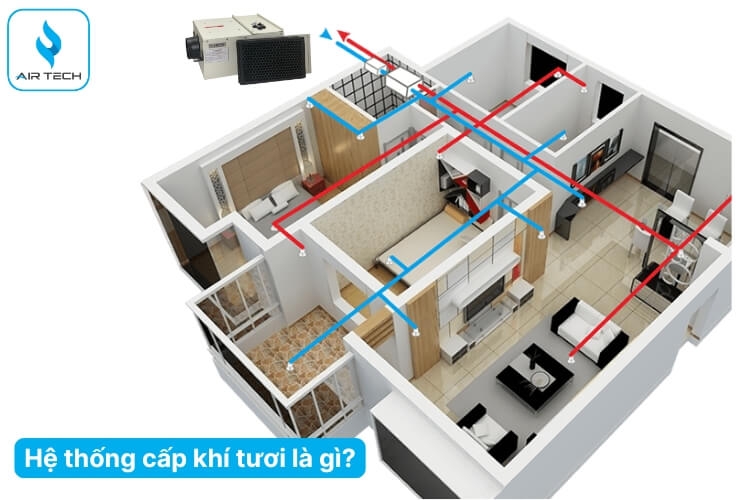 Khí tươi là gì? Khí tươi có quan trọng với sức khỏe không?