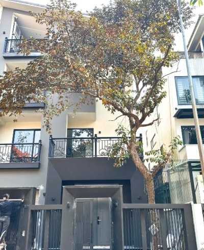 Biệt thự Việt Hưng